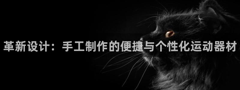 fb体育集团简介:革新设计:手工制作的便捷与个性化运动器材